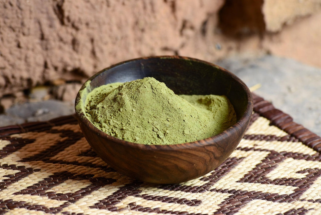 Bio Moringa Pulver Qualität Anbau Ernte