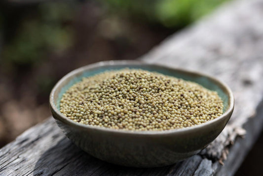 Hanfsamen gesund Vorteile