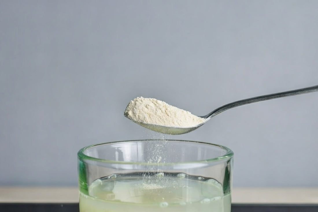 MSM Supplements Unterschiede