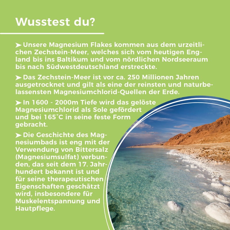 Magnesium-Flakes 1000g