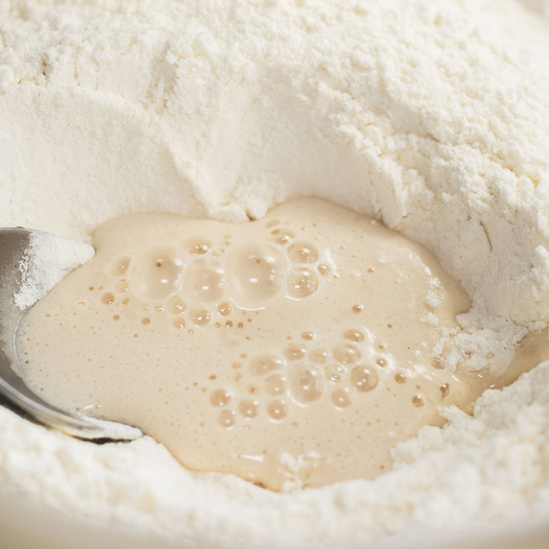 Trockenhefe – Backhefe