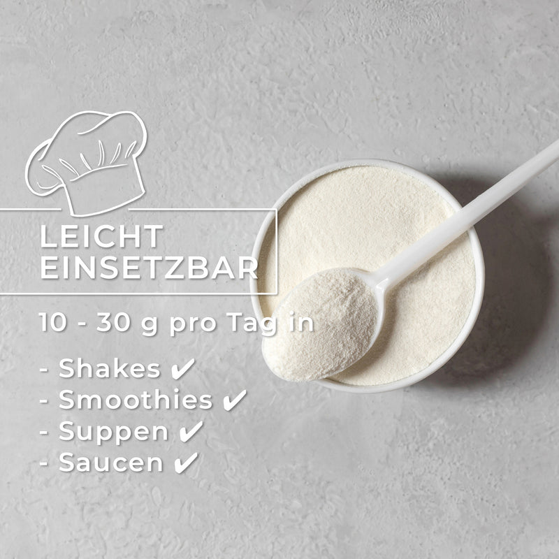 Bioaktives Kollagen-Pulver – Typ 1 & 3