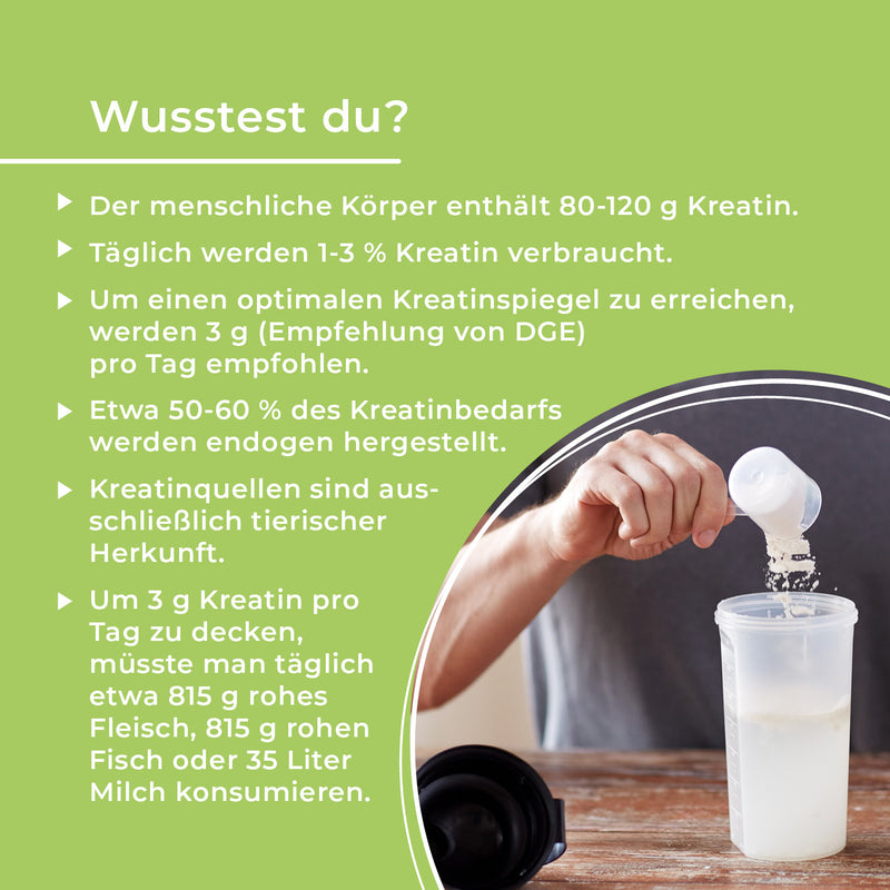 Kreatin-Monohydrat-Pulver – geschmackslos