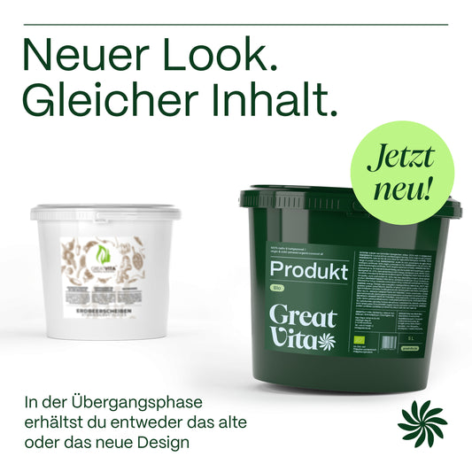 Mango – gefriergetrocknete Mangoscheiben