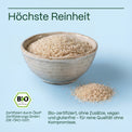 Bio-Flohsamenschalen 500 g – ballaststoffreich