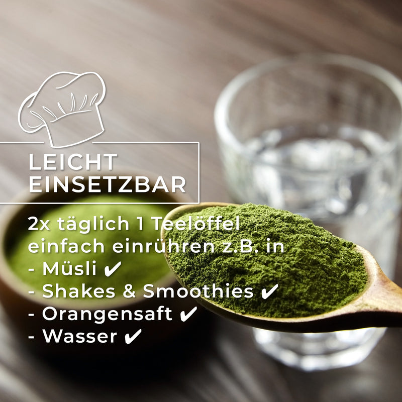 GreatVita Bio Gerstengras Pulver 400g leicht einsetzbar