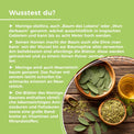 GreatVita Bio Moringa Pulver 400 g Produkterklärung